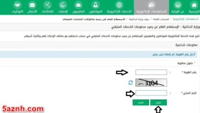 الاستعلام عن رصيد الجوازات