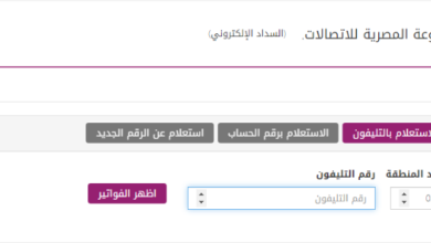 الاستعلام عن فاتورة النت 140 online