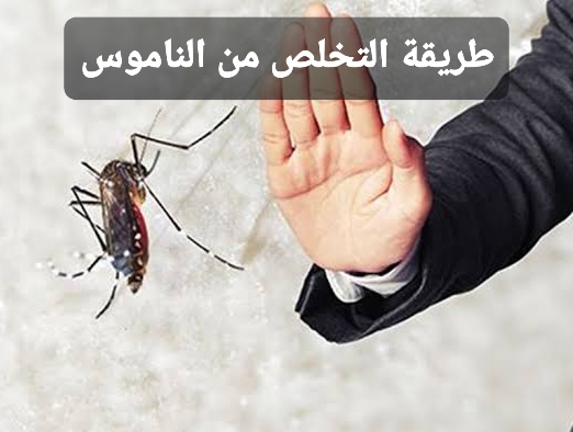 طريقة التخلص من الناموس