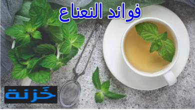 فوائد النعناع