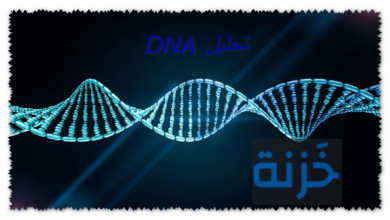 تحليل DNA