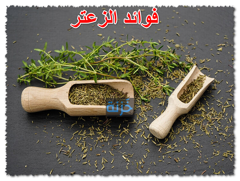 فوائد الزعتر