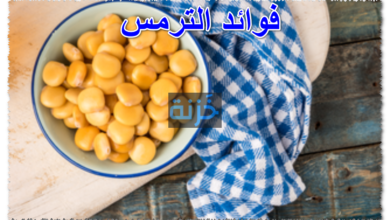 فوائد الترمس