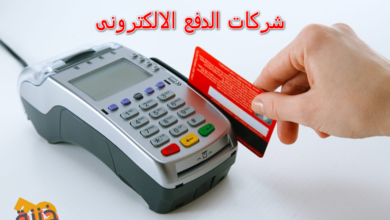 شركات الدفع الالكترونى