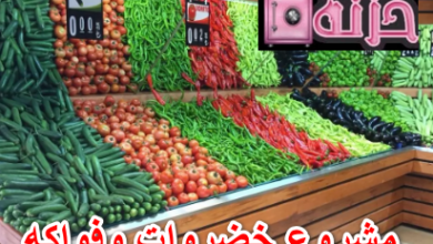 مشروع خضروات وفواكه