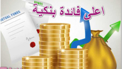 اعلى فائدة بنكية