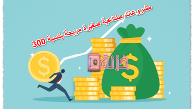 مشروعات صناعية صغيرة مربحة بنسبة 300